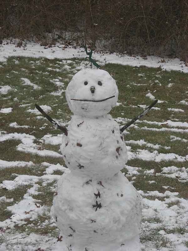 2008-12-07_First_Snow_2nd_set 005.jpg